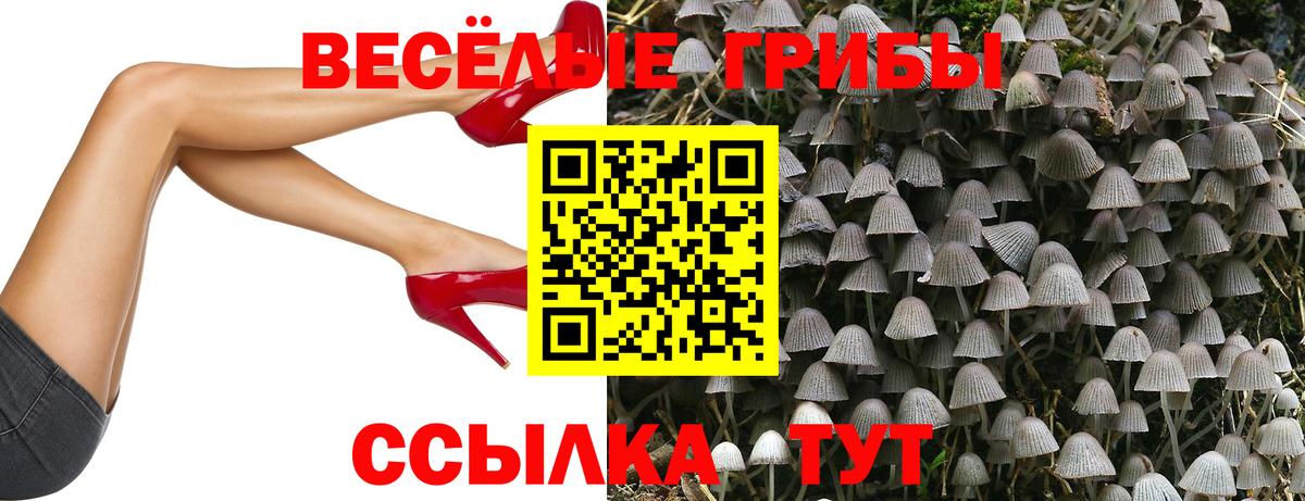 Галлюциногенные грибы Magic Shrooms  Вход с VPN  Абинск 